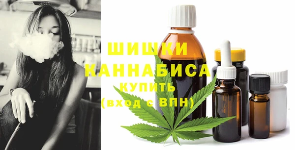 МДПВ Краснослободск