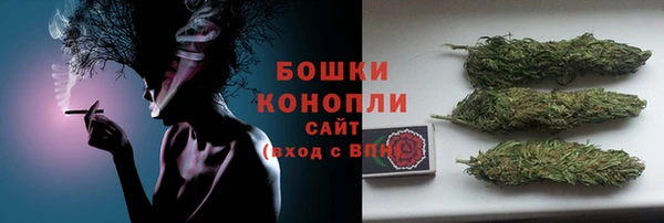 сатива Коряжма