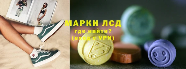 сатива Коряжма