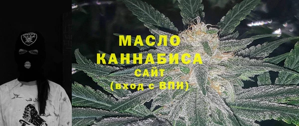 сатива Коряжма