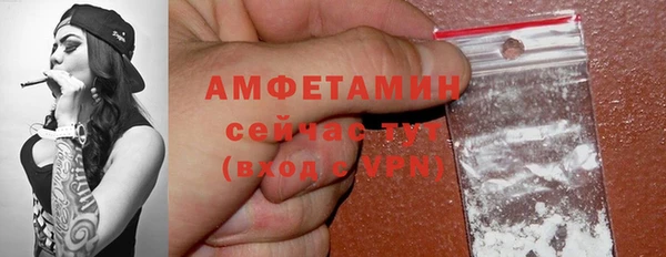 ГАЛЛЮЦИНОГЕННЫЕ ГРИБЫ Корсаков